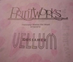 Paperworks 1 Sheet Friendship Vellum Stickers Scrapbook Border Embellishments
