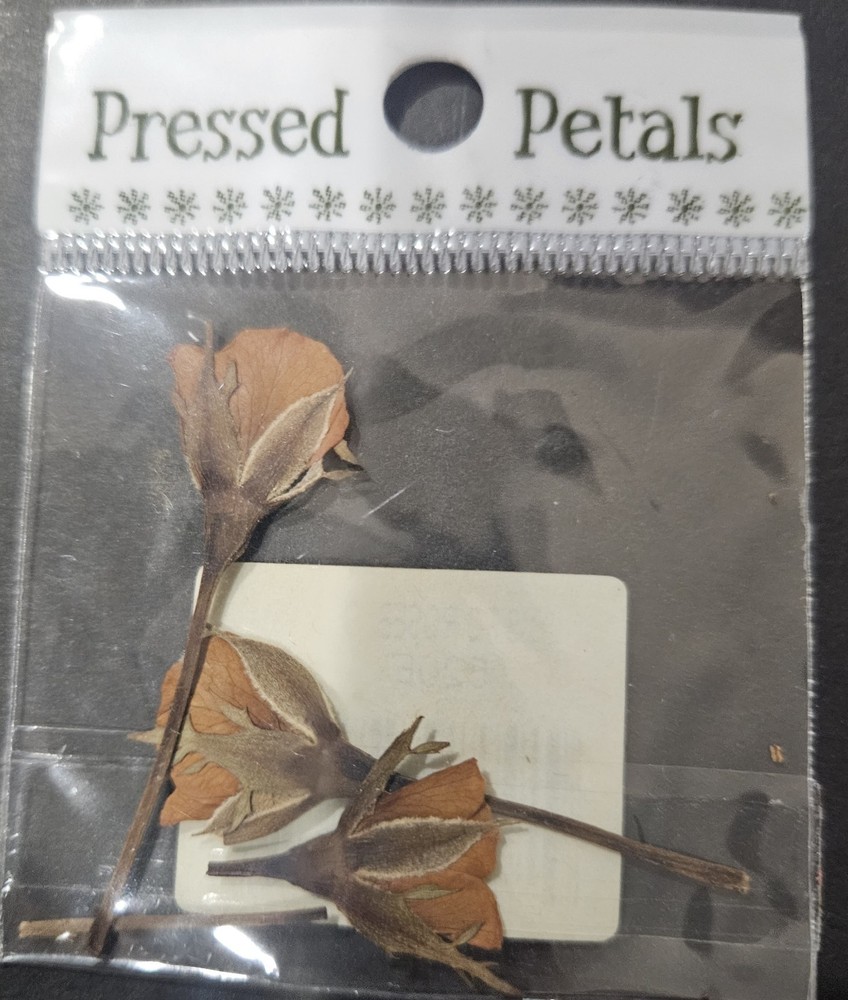 Pressed Petals