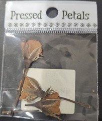 Pressed Petals