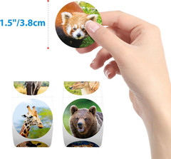600PCS Realistic Animal Stickers, 16 Designs Jungle Animal Sticker for Kids Safa