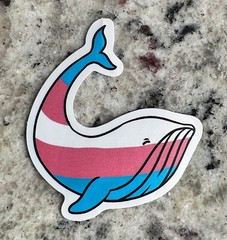 LOT of 500pc PRIDE MIX Stickers, LGTBQ Rainbow, Lesbian,Trans, Non binary