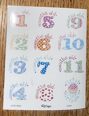 Timeless Treasures By NRN Designs Baby 1-12 Months 1 Year Old Scrapbook Stickers