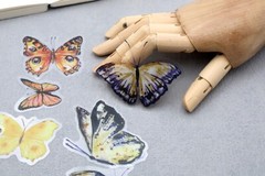 yellow butterfly sticker | yellow black butterfly beautiful themed PET
