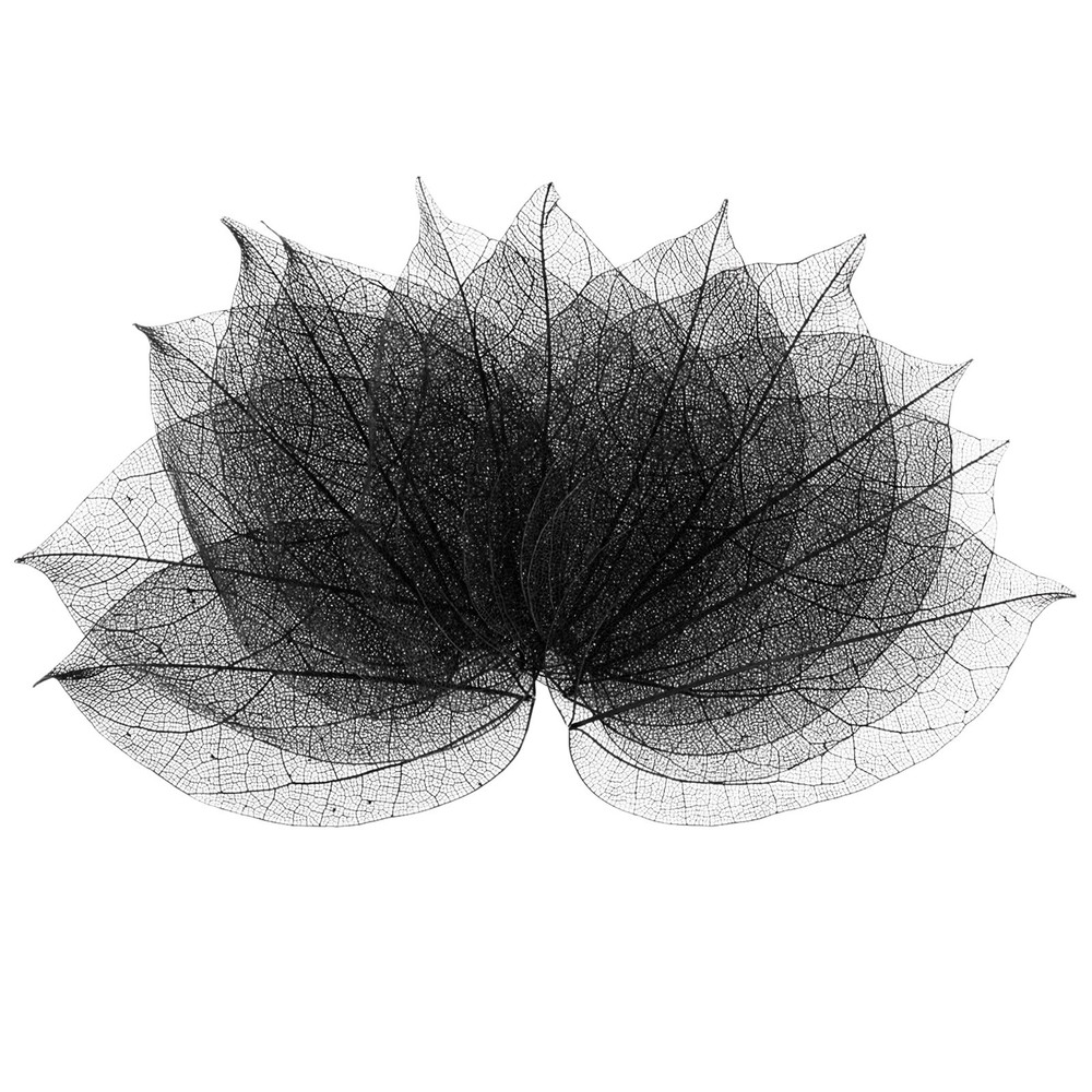 100-Pack Skeleton Leaves, Natural Rubber Tree Leaves Vein[7-9cm, Black]