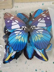 Crafter’s Square Butterfly Stickers Craft 48 total bonus butterfly necklace NEW