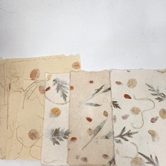 Autumn Thanksgiving Scrapbook Stickers Paper Lot Reminisce Scenic Route Alpha