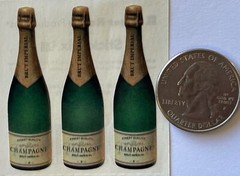 CHAMPAGNE BOTTLE Sticky Pix Stickers(6pc)Paper House•Party •Celebrate•Adults•