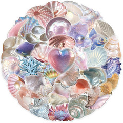 50PCS Sea Shell Stickers Aesthetic PET Transparent Conch Stickers Clamshell Pear