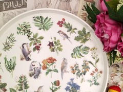 60pcs/Pack flower birds animal floral plant botanical Themed , washi paper stick
