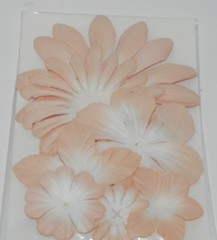 LOT PAPER FLOWERS PRIMA PETALOO LEAVES STUDIO 8 JOLEES MULBERRY ORGANDY PLUS