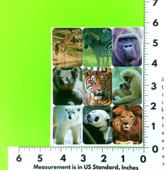 Vintage Eureka World Animal Photo Sticker Sheet Retired Zebras Lion Tiger Bears
