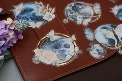 Flower Planet PET Stickers Pack | moon planet flower earth galaxy themed PET