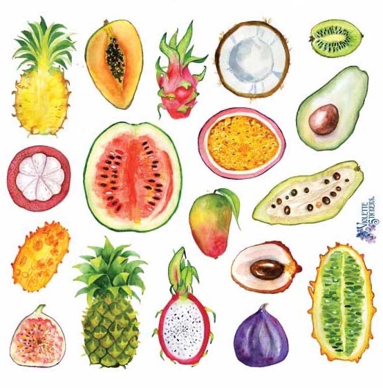 Violette Stickers Tropical Exotic Fruit Food Crafts Planner Supply Scrapbook