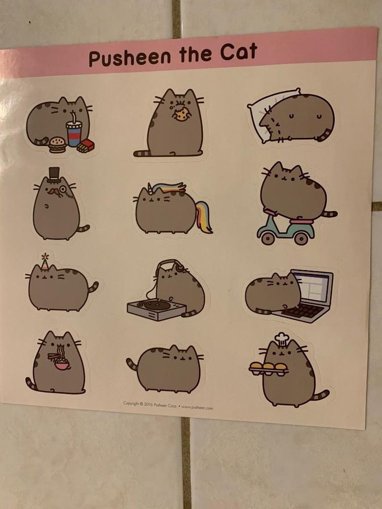 RARE : PUSHEEN THE CAT Stickers – 1 Sheet of 12 – from a 2016 Box Set