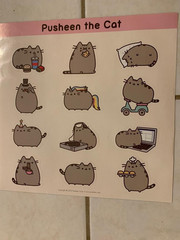 RARE : PUSHEEN THE CAT Stickers – 1 Sheet of 12 – from a 2016 Box Set