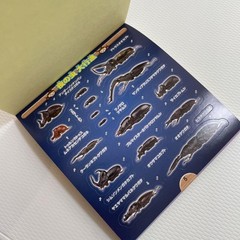 Beetle and Stag Beetle Japanese Stickers book 275 Stickers Shogakkan Neo JP