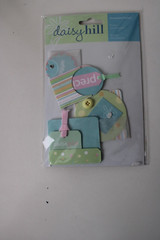 Daisy Hill Multi – Color Baby Dimensional Pocket Embellish Cards Boxes Scrapbook
