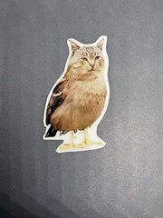 Weird and Unique “Meowl” Sticker Featuring Cat-Owl Hybrid for Journal Scrapbook