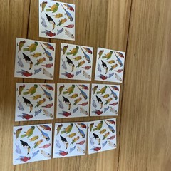 10 Sticker Sheets Unique Colourful Australian Birds Wildlife multicoloured