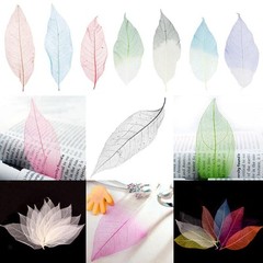 50pcs Skeleton Leaves Natural Dried Crafts Card Making
