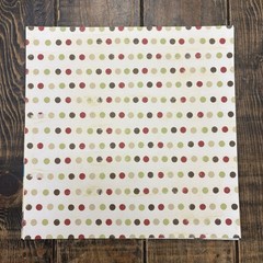 Close To My Heart ASPEN Scrapbooking Paper And Stickers CTMH