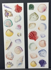 Unbranded ASSORTED SEASHELLS Stickers 2 Sheets