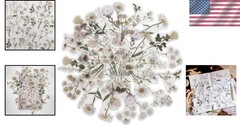 44 Irregular Vinyl Daisy Stickers – Watercolor Aesthetic for Every Surface