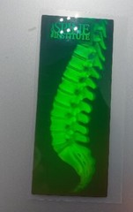 VTG Polaroid 3-D 90’s Holograms Prototypes – HUMAN SPINE / INSTITUTE 4.5 X 2″