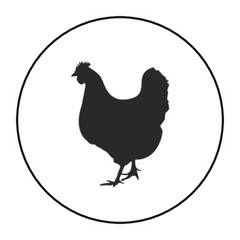30 Chicken Stickers tags envelope seals 1.5″ round egg carton labels