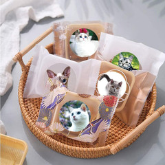 500 Pcs 1.5″ Cat Stickers for Kids and Teachers, Toddler Birthday Party