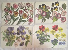 ANNA GRIFFIN 250+ Unlabeled DIE CUTS Flat+3D FLOWERS BIRDS BUTTERFLY+ NEW (PA51)