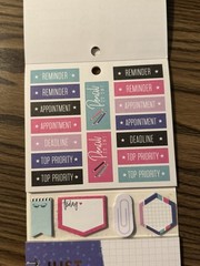 The Happy Planner Boss Babe Multipack 399 Pieces PLMP-04