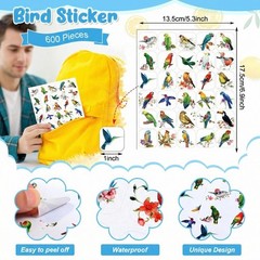 Hotop 600 Pcs Bird Stickers Vinyl Waterproof Animal Cartoon Multicolored