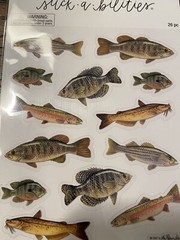 FISH Stickabilities The Paper Studio Stickers 2 Strips in pkg GONE FISHING 26PCS