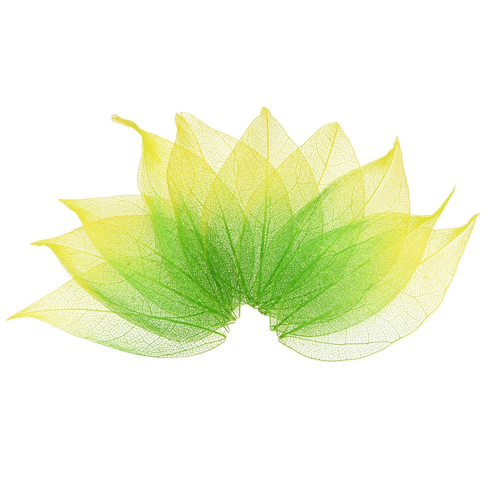 200-Pack Skeleton Leaves, Natural Rubber Leaves Vein[4-6cm, Dark Light Green]