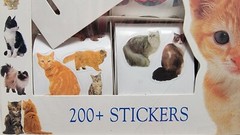 VTG Cat Kitten Stickers Playing Sitting Licking Vibrant Holographic 200+ NOS
