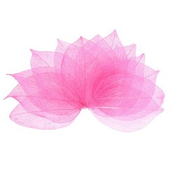 100-Pack Skeleton Leaves, Natural Rubber Tree Leaves Vein[4-6cm, Light Pink]