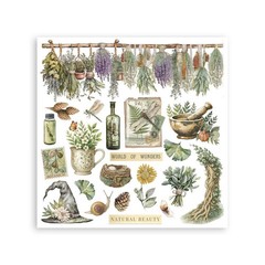 Stamperia Rub-On Kit- Herbarium Silvae, DFLRBX02