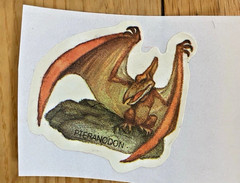Vintage 80s Sticker Lot: Restored Dinosaur Brontosaurus T-Rex Stickers (READ)