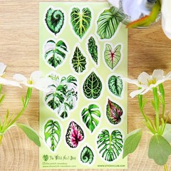 Stickii – Monstera Leaf Stickers – Plant Leaves Sticker Sheet – Crafts Planners