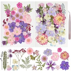 50pcs Dried Pressed Flowers Kit Real Natural Flowers for Resin Jewelry DIY Craft