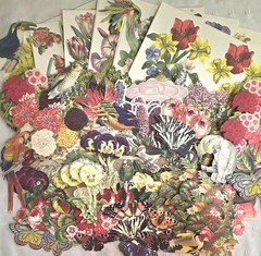 ANNA GRIFFIN 250+ Unlabeled DIE CUTS Flat+3D FLOWERS BIRDS BUTTERFLY+ NEW (PA51)