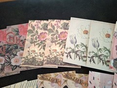 100 Pc Scrapbooking Supplies JJ Craft Kit Florabunda Theme Ephemera New Product