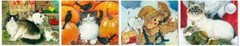 12 BEAUTIFUL SEASONAL © Amy Rosenberg KITTEN CAT KITTY STICKERS USA MADE #52