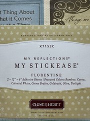 Close To My Heart My Stickease Florentine Frosted Asst 6×12 Adhesive Stickers