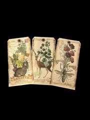 In The Land of Elsewhere Tags Mixed Lot Junk Journaling Crafting Gifts 8”x4”