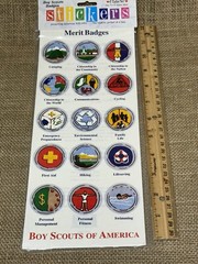 It Takes Two Sticker Sheet – Boy Scouts Badges, Boy Scouts Of America
