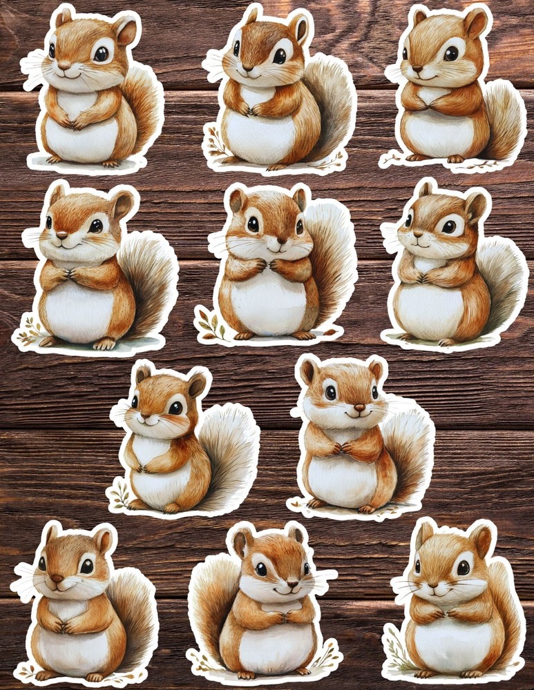 Cute Chubby Squirrel Die Cut Vinyl Stickers Set Scrapbooking Laptop Waterbottle
