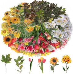Flower Themed Resin Stickers Set (160 Pieces) – Vintage Floral Journaling & Scra
