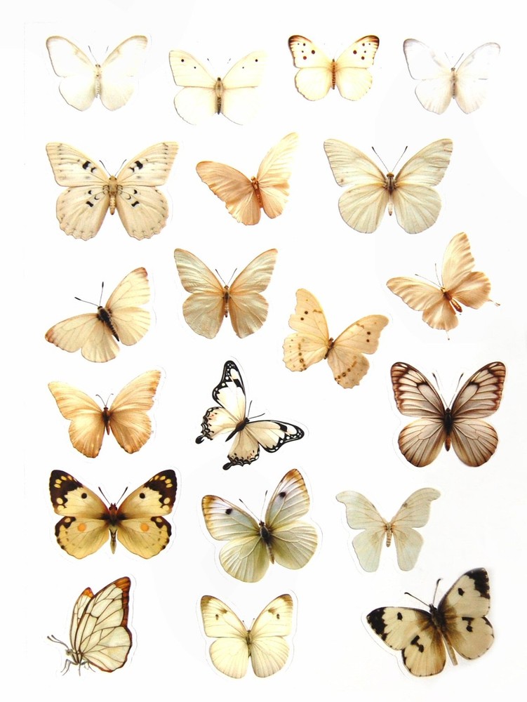 BEAUTIFUL VINYL BUTTERFLY STICKERS 7 7/8″X 5.75″ SHEET #1-T IVORY Fast Shipping